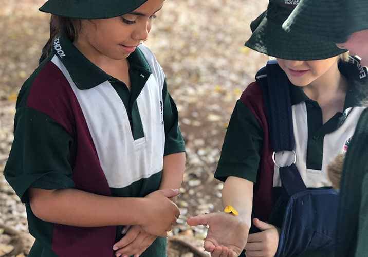 Students caringly holding and examining a butterfly